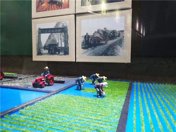 �峣�����΢�;������� (12)