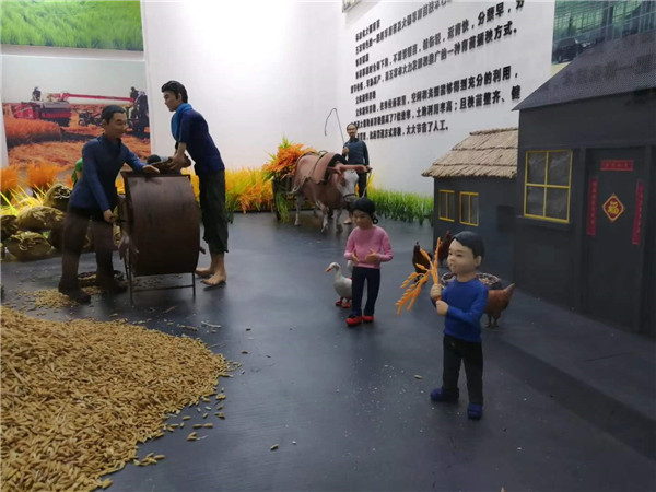 �峣�����΢�;������� (4)